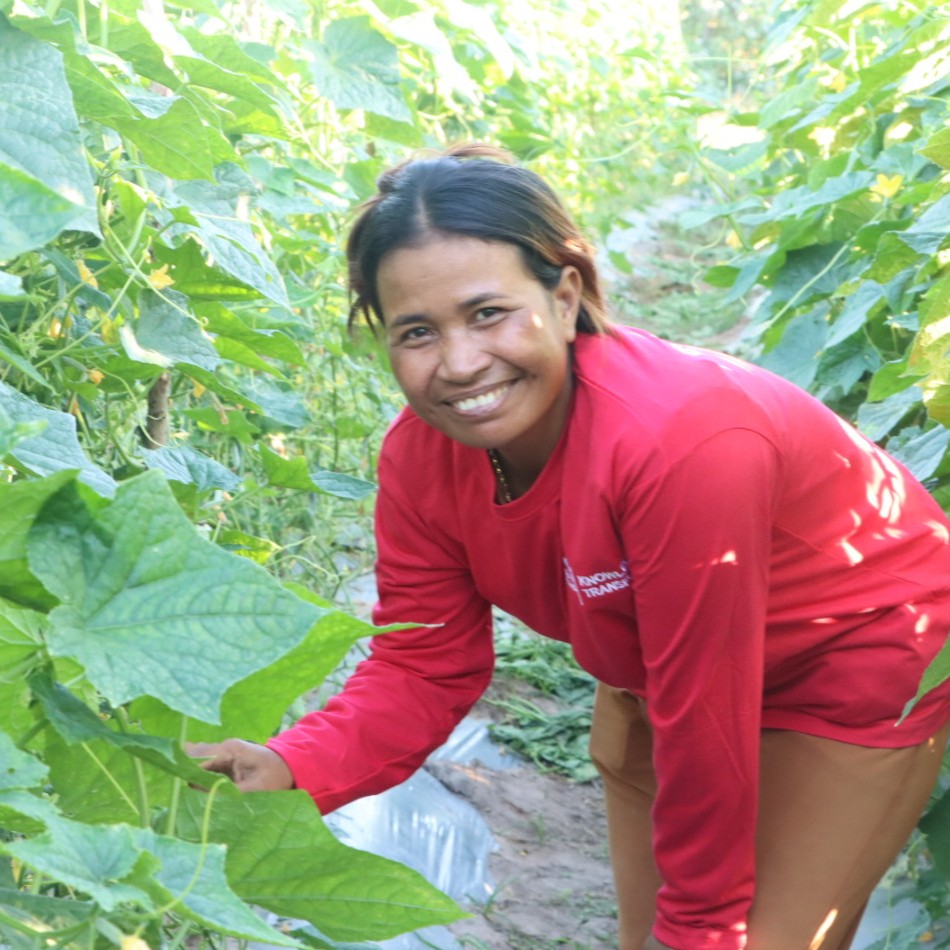 Cambodian farmer Sot Koem Lang between her cucumber rows.