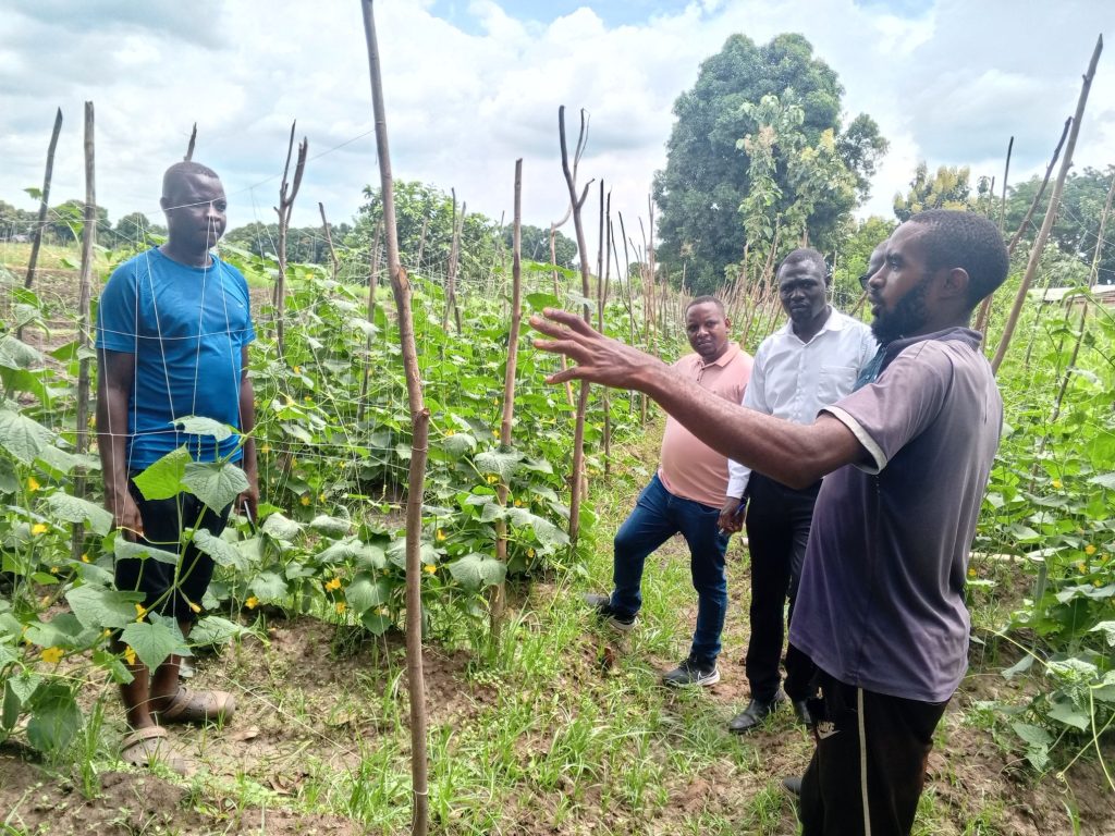 South Sudanese farmer Charles Malice stands between trellised cucumber rows as visitors tour his field.