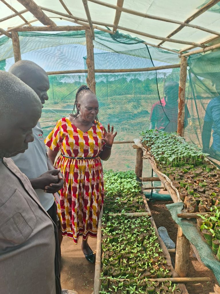 Eastern Equatoria State Ministers Margaret Idwa Okuye and Ochola Bosco Oringa visit the covered seedling nursery at the learning farm in Torit County, Eastern Equatoria State, South Sudan.