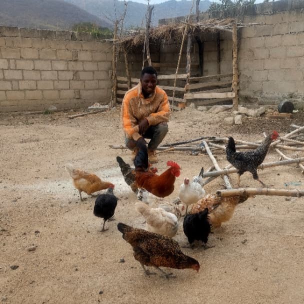 Tanzanian farmer Joel Mwaisaka with the chicken flock he purchased with part of his vegetable proceeds.
