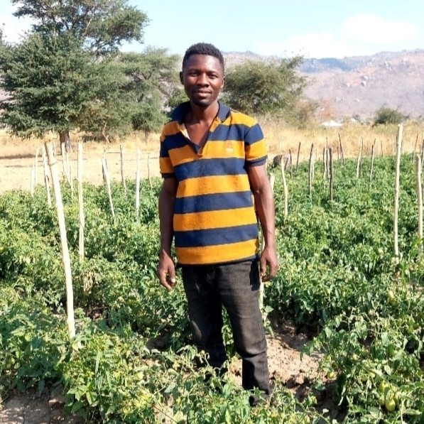 Tanzanian farmer Joel Mwaisaka in his tomato field.