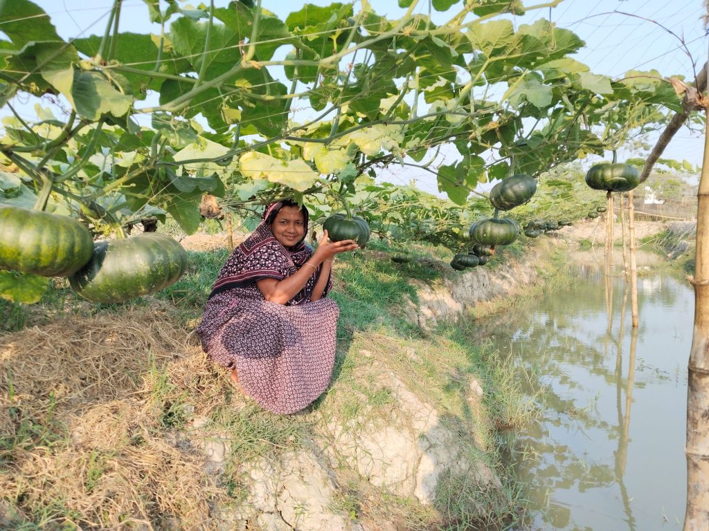 Bangladeshi farmer Monira Begum holds a green pumpkin while sitting underneath pumpkin vines at her farm.