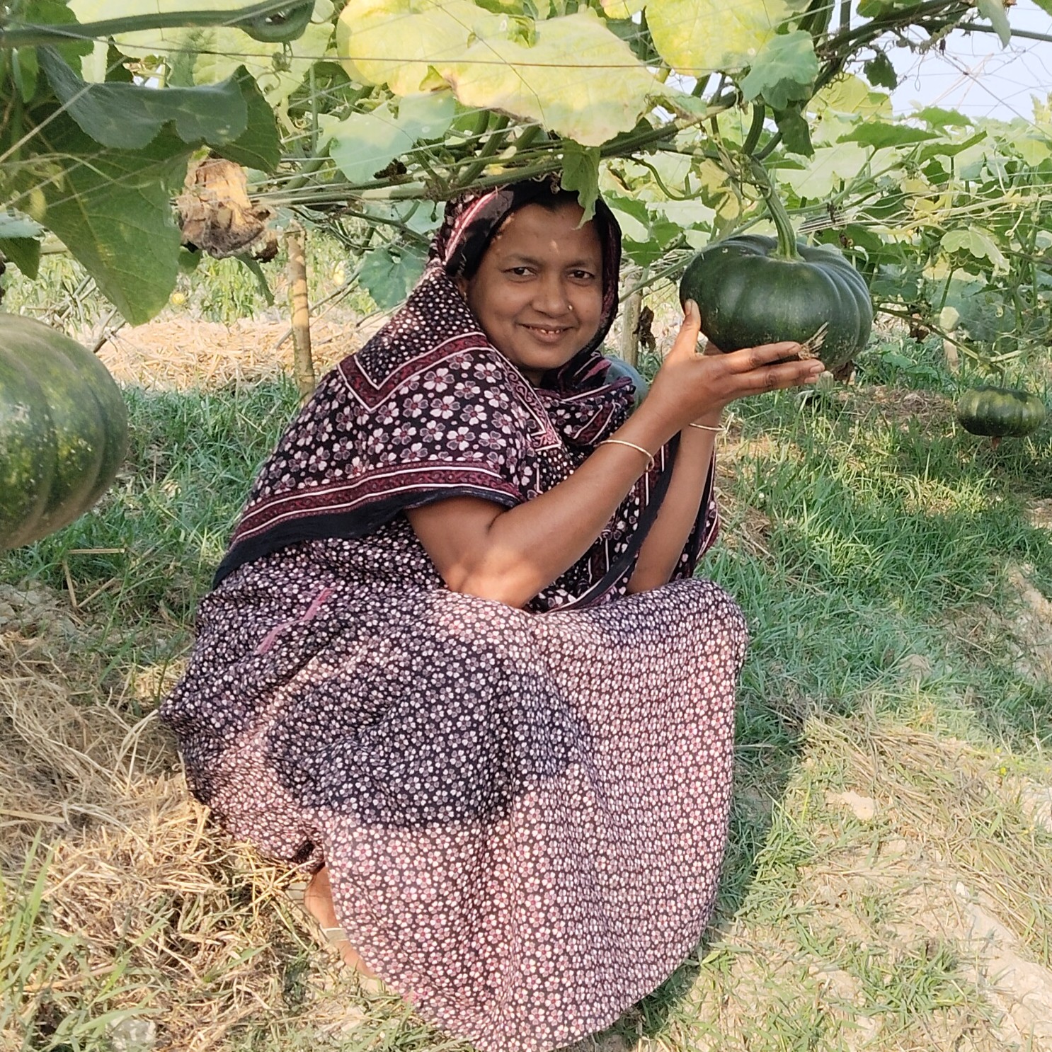 Bangladeshi farmer Monira Begum holds a green pumpkin while sitting underneath pumpkin vines at her farm.