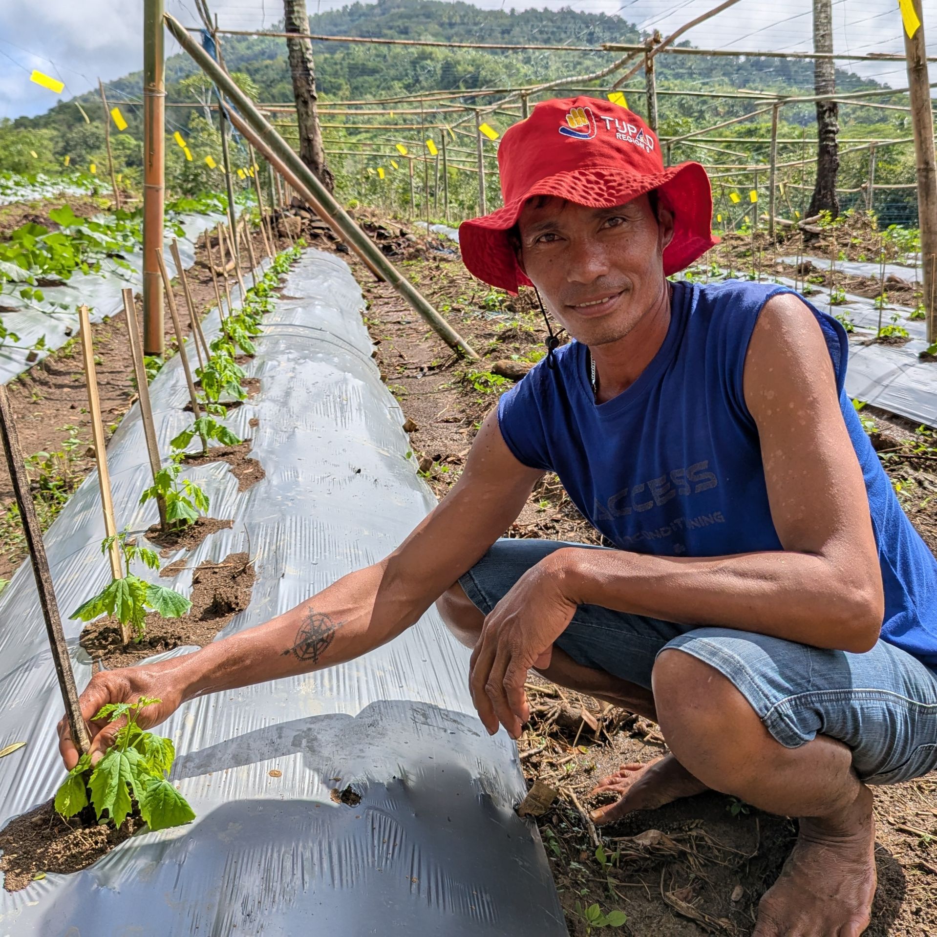 Filipino farmer Virgilio Ganub next to a row of young plants on his farm.