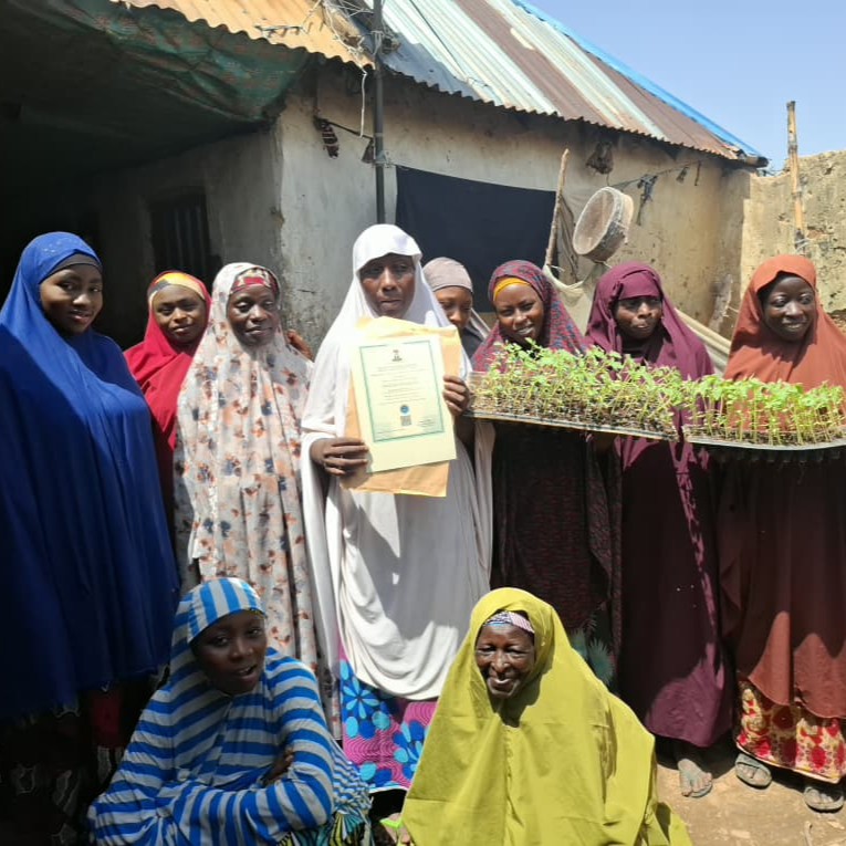 Women with Farin Ƙasa Women Seedling Producers Ventures hold trays full of seedlings in Soba Local Government Area, Kaduna State, Nigeria.
