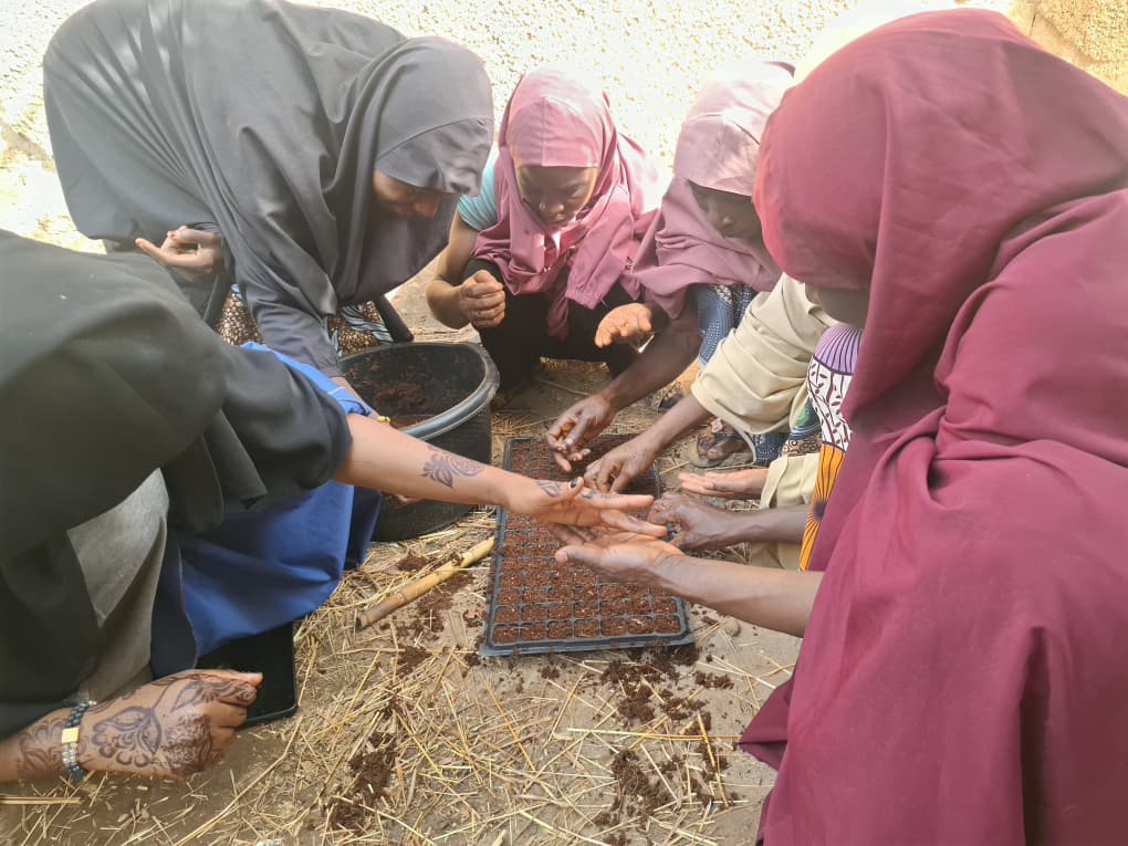 Women with Sobawa Seedling Producers fill seedling trays in Kubau Local Government Area, Kaduna State, Nigeria.